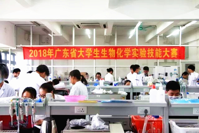 77779193永利学生荣获广东省生物化学实验技能大赛二等奖02.jpg